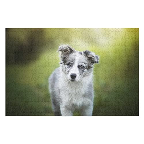 Tierpuzzle-Sets für Erwachsene, 1000-teilige Puzzles mit Hundemuster, für Erwachsene, Jugendliche, Kinder, Lernspiele, lustige Puzzles 38 x 52 cm Tierpuzzle-Sets für Erwachsene, 1000-teilige Puzzles mit Hundemuster, für Erwachsene, Jugendliche, Kinder, Lernspiele, lustige Puzzles 38 x 52 cm von EZMLFA