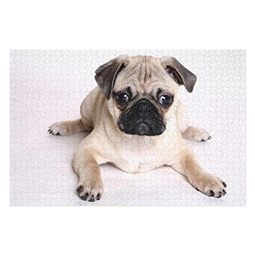 Tierpuzzle für Erwachsene, 1000 Teile, Hunde-Grafikpuzzle, für Erwachsene und Jugendliche, ideal zum Entspannen, Meditieren, Hobby, Gehirntraining, Puzzle, 50 x 70 cm Tierpuzzle für Erwachsene, 1000 Teile, Hunde-Grafikpuzzle, für Erwachsene und Jugendliche, ideal zum Entspannen, Meditieren, Hobby, Gehirntraining, Puzzle, 50 x 70 cm von EZMLFA