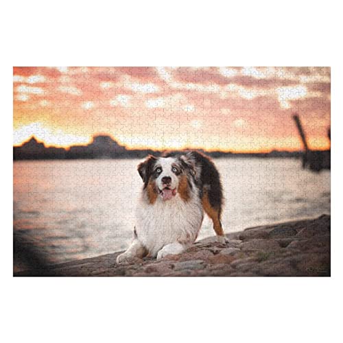 Tierpuzzle für Erwachsene, 1000 Teile, Hunde-Grafikpuzzle, für Erwachsene und Kinder ab 12 Jahren, herausfordernde lustige Puzzles für die Familie, 50 x 70 cm Tierpuzzle für Erwachsene, 1000 Teile, Hunde-Grafikpuzzle, für Erwachsene und Kinder ab 12 Jahren, herausfordernde lustige Puzzles für die Familie, 50 x 70 cm von EZMLFA
