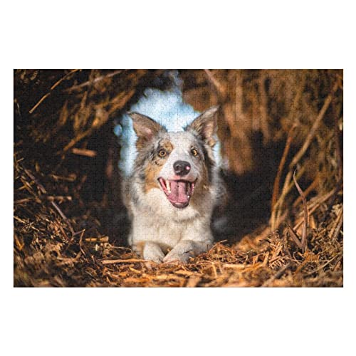 Tierpuzzle für Erwachsene, 1000 Teile, Hunde-Grafikpuzzle, für Frauen und Männer, Lernspiele, schwierige Puzzles, 50 x 70 cm von EZMLFA