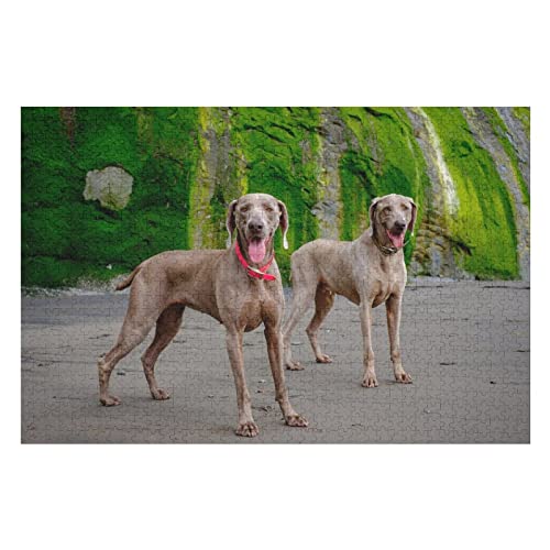 Tierpuzzle für Erwachsene, 1000 Teile, Hundemuster, Puzzle für Kinder und Erwachsene, Lernspiele, Premium-Puzzle, 26 x 38 cm Tierpuzzle für Erwachsene, 1000 Teile, Hundemuster, Puzzle für Kinder und Erwachsene, Lernspiele, Premium-Puzzle, 26 x 38 cm von EZMLFA
