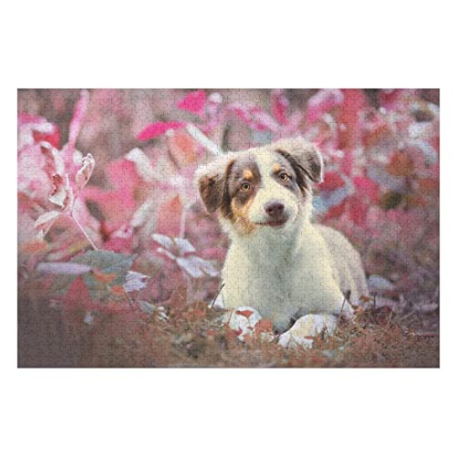Tierpuzzle für Erwachsene, 1000 Teile, Hundemuster-Puzzles, für Erwachsene und Kinder ab 12 Jahren, Puzzle-Geschenke, Premium-Puzzles, 50 x 70 cm Tierpuzzle für Erwachsene, 1000 Teile, Hundemuster-Puzzles, für Erwachsene und Kinder ab 12 Jahren, Puzzle-Geschenke, Premium-Puzzles, 50 x 70 cm von EZMLFA