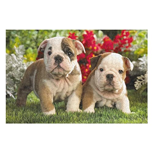 Tierpuzzle für Erwachsene, 1000 Teile, Hundemuster-Puzzles, für Kinder und Erwachsene, Lernspiele, Premium-Puzzles, 38 x 52 cm Tierpuzzle für Erwachsene, 1000 Teile, Hundemuster-Puzzles, für Kinder und Erwachsene, Lernspiele, Premium-Puzzles, 38 x 52 cm von EZMLFA