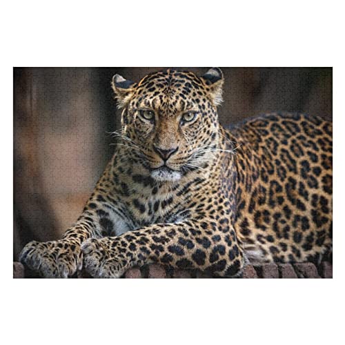 Tierpuzzle für Erwachsene, 1000 Teile, Leoparden-Grafikpuzzle, für Frauen und Männer, Spiele, Unterhaltung, Gehirn-Herausforderung, Puzzle, 50 x 70 cm von EZMLFA