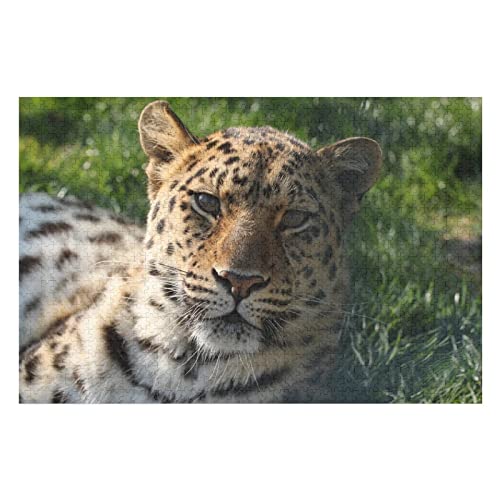 Tierpuzzle für Erwachsene, 1000 Teile, Leoparden-Grafikpuzzles, für Kinder, Erwachsene und Familien, anspruchsvolle Premium-Puzzles, 26 x 38 cm Tierpuzzle für Erwachsene, 1000 Teile, Leoparden-Grafikpuzzles, für Kinder, Erwachsene und Familien, anspruchsvolle Premium-Puzzles, 26 x 38 cm von EZMLFA