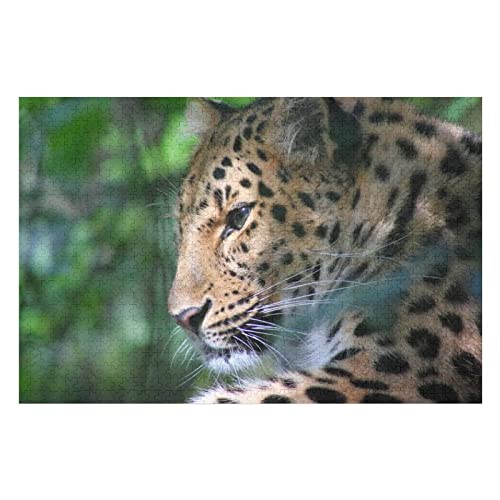 Tierpuzzle für Erwachsene, 1000 Teile, Leoparden-Grafikpuzzles, für Kinder, Spiele für Erwachsene, Unterhaltung, Premium-Puzzles, 50 x 70 cm von EZMLFA