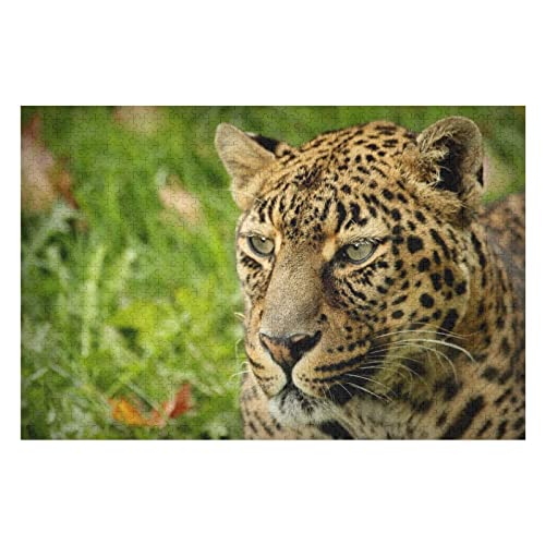 Tierpuzzle für Erwachsene, 1000 Teile, Leopardenmuster, Puzzle für Frauen und Männer, ideal zum Entspannen, Meditieren, Hobby, Premium-Puzzle, 50 x 70 cm von EZMLFA