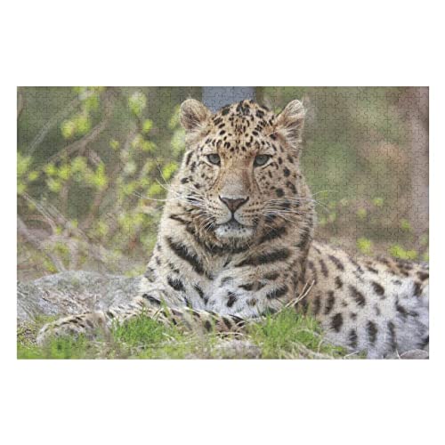 Tierpuzzle für Erwachsene, 1000 Teile, Leopardenmuster, für Erwachsene und Kinder ab 12 Jahren, Geburtstagsgeschenk für Papa, Mama, lustige Puzzles 50 x 70 cm Tierpuzzle für Erwachsene, 1000 Teile, Leopardenmuster, für Erwachsene und Kinder ab 12 Jahren, Geburtstagsgeschenk für Papa, Mama, lustige Puzzles 50 x 70 cm von EZMLFA