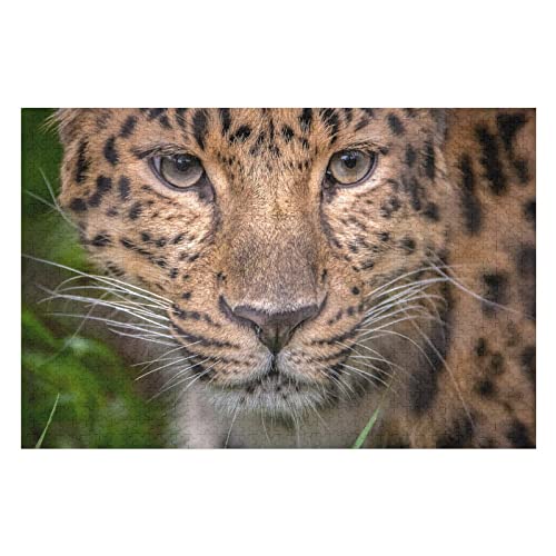 Tierpuzzle für Erwachsene, 1000 Teile, Leopardenmuster-Puzzle, für Kinder, Erwachsene und Familien, anspruchsvolles großes Puzzle, 26 x 38 cm von EZMLFA