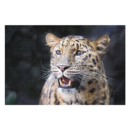 Tierpuzzle für Erwachsene, 1000 Teile, Leopardenmuster-Puzzles, für Erwachsene, Teenager, Kinder, Puzzle-Geschenke, lustige Puzzles, 38 x 52 cm Tierpuzzle für Erwachsene, 1000 Teile, Leopardenmuster-Puzzles, für Erwachsene, Teenager, Kinder, Puzzle-Geschenke, lustige Puzzles, 38 x 52 cm von EZMLFA