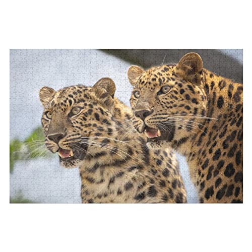 Tierpuzzle für Erwachsene, 1000 Teile, Leopardenmuster-Puzzles, für Erwachsene und Jugendliche, intellektuelles Puzzlespielzeug, Schwierige Harte Puzzles, 50 x 70 cm Tierpuzzle für Erwachsene, 1000 Teile, Leopardenmuster-Puzzles, für Erwachsene und Jugendliche, intellektuelles Puzzlespielzeug, Schwierige Harte Puzzles, 50 x 70 cm von EZMLFA
