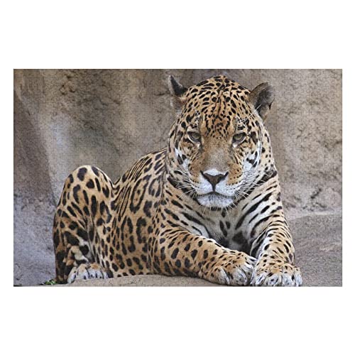 Tierpuzzle für Erwachsene, 1000 Teile, Leopardenmuster-Puzzles, für Erwachsene und Kinder ab 12 Jahren, Familienaktivität, lustige Puzzles, 50 x 70 cm Tierpuzzle für Erwachsene, 1000 Teile, Leopardenmuster-Puzzles, für Erwachsene und Kinder ab 12 Jahren, Familienaktivität, lustige Puzzles, 50 x 70 cm von EZMLFA
