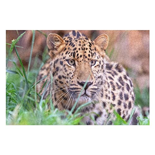 Tierpuzzle für Erwachsene, 1000 Teile, Leopardenmuster-Puzzles, für Kinder und Erwachsene, Familienaktivität, Gehirn-Herausforderung, Puzzle, 26 x 38 cm Tierpuzzle für Erwachsene, 1000 Teile, Leopardenmuster-Puzzles, für Kinder und Erwachsene, Familienaktivität, Gehirn-Herausforderung, Puzzle, 26 x 38 cm von EZMLFA