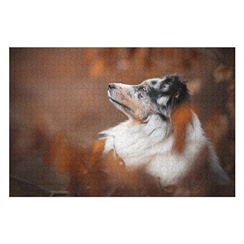 Tierpuzzle für Erwachsene, 1000 Teile Hundemusterpuzzle für Erwachsene und Kinder ab 12 Jahren, Heimdekoration, Premium-Puzzles 50 x 70 cm Tierpuzzle für Erwachsene, 1000 Teile Hundemusterpuzzle für Erwachsene und Kinder ab 12 Jahren, Heimdekoration, Premium-Puzzles 50 x 70 cm von EZMLFA