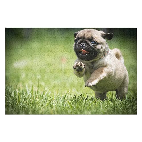 Tierpuzzle für Erwachsene, 2000 Teile, Hunde-Grafikpuzzles, für Erwachsene, Teenager, Kinder, Puzzle-Geschenke, lustige Puzzles, 70 x 100 cm Tierpuzzle für Erwachsene, 2000 Teile, Hunde-Grafikpuzzles, für Erwachsene, Teenager, Kinder, Puzzle-Geschenke, lustige Puzzles, 70 x 100 cm von EZMLFA