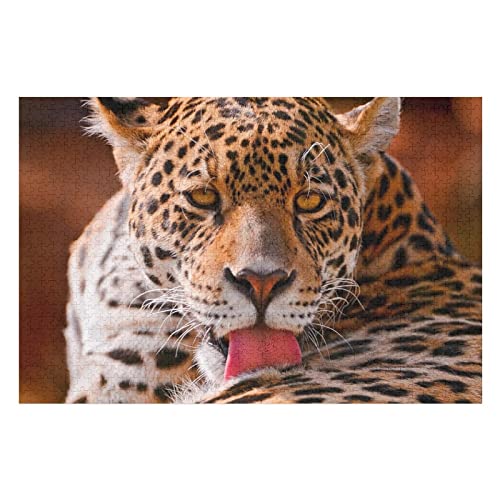 Tierpuzzle für Erwachsene, 2000 Teile, Leoparden-Grafikpuzzles, für Erwachsene und Jugendliche, intellektuelles Puzzlespielzeug, Premium-Puzzles, 70 x 100 cm von EZMLFA