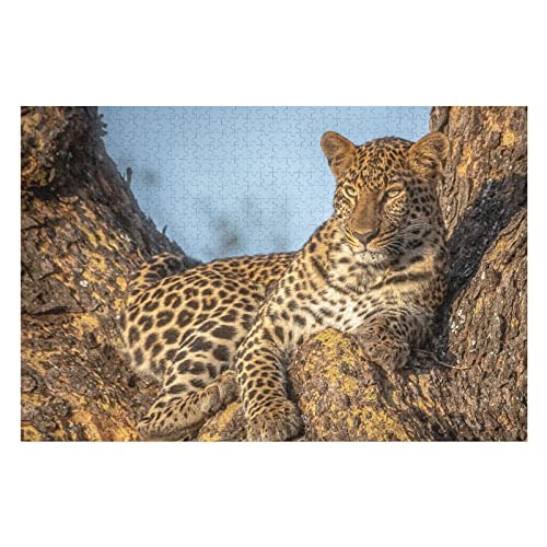 Tierpuzzle für Erwachsene, 2000 Teile, Leoparden-Grafikpuzzles für Erwachsene und Kinder ab 12 Jahren, Intellektuelles Puzzlespielzeug, Premium-Puzzles, 70 x 100 cm Tierpuzzle für Erwachsene, 2000 Teile, Leoparden-Grafikpuzzles für Erwachsene und Kinder ab 12 Jahren, Intellektuelles Puzzlespielzeug, Premium-Puzzles, 70 x 100 cm von EZMLFA