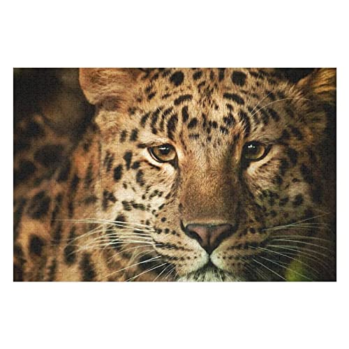 Tierpuzzle für Erwachsene, 2000 Teile, Leopardenmuster-Puzzles, für Erwachsene, Teenager, Kinder, Geburtstagsgeschenk für Papa und Mutter, Premium-Puzzles, 70 x 100 cm Tierpuzzle für Erwachsene, 2000 Teile, Leopardenmuster-Puzzles, für Erwachsene, Teenager, Kinder, Geburtstagsgeschenk für Papa und Mutter, Premium-Puzzles, 70 x 100 cm von EZMLFA