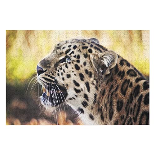 Tierpuzzle für Erwachsene, 2000 Teile, Leopardenmuster-Puzzles, für Erwachsene, Teenager, Kinder, Lernspiele, Gehirn-Herausforderung, Puzzle, 70 x 100 cm Tierpuzzle für Erwachsene, 2000 Teile, Leopardenmuster-Puzzles, für Erwachsene, Teenager, Kinder, Lernspiele, Gehirn-Herausforderung, Puzzle, 70 x 100 cm von EZMLFA