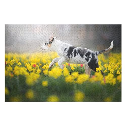 Tierpuzzle für Erwachsene, 2000-teiliges Hundemuster-Puzzle für Erwachsene und Kinder ab 12 Jahren, Spiele, Unterhaltung, Gehirn-Herausforderung 70x100CM Tierpuzzle für Erwachsene, 2000-teiliges Hundemuster-Puzzle für Erwachsene und Kinder ab 12 Jahren, Spiele, Unterhaltung, Gehirn-Herausforderung 70x100CM von EZMLFA