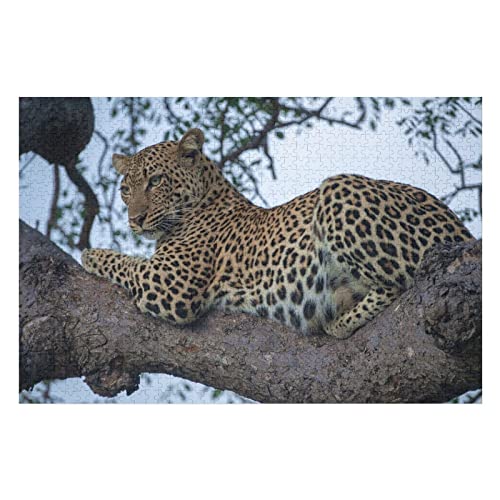 Tierpuzzles für Erwachsene, 2000-teiliges Puzzle mit Leopardenmuster, für Lernspiele für Frauen und Männer, großes Puzzle 70 x 100 cm Tierpuzzles für Erwachsene, 2000-teiliges Puzzle mit Leopardenmuster, für Lernspiele für Frauen und Männer, großes Puzzle 70 x 100 cm von EZMLFA