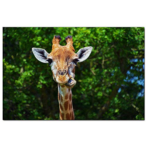 USA Amerika Toledo Zoo Giraffe Puzzle 1000 Teile Puzzle Spiel für Erwachsene Grafik Reise Souvenir 38x52CM USA Amerika Toledo Zoo Giraffe Puzzle 1000 Teile Puzzle Spiel für Erwachsene Grafik Reise Souvenir 38x52CM von EZMLFA