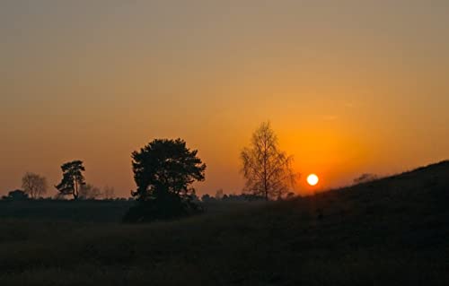 Unmögliches Puzzle, 1000 Teile, Naturschönheit, Sonne, Sonnenuntergang, 50 x 70 cm von EZMLFA
