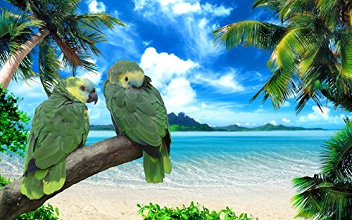 Zwei Papageien auf Einer Baumkrone am Meer, Puzzle für Erwachsene, Kinder, Puzzle 1000 Teile, Spielzeug, Spiel, Geschenk, 52 x 38 cm von EZMLFA