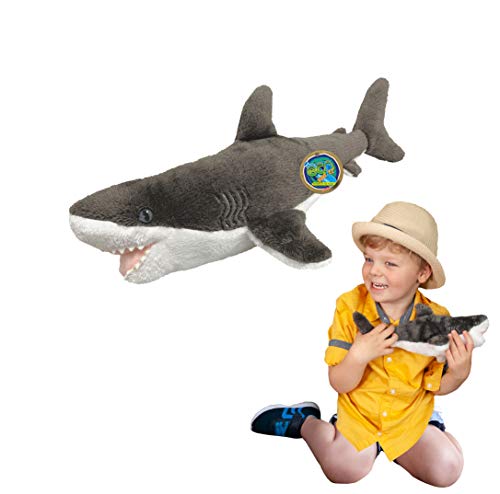 EcoBuddiez - Großer Weißer Hai von Deluxebase. Mittelgroß 40cm weiches Plüschtier aus recycelten Plastikflaschen. Umweltfreundliches kuscheliges Geschenk für Kinder und süß Stofftier für Kleinkinder. von EcoBuddiez