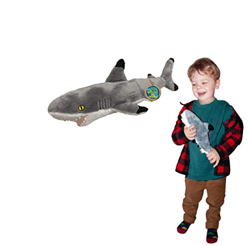 EcoBuddiez - Schwarzspitzenhai von Deluxebase. Kleines 32cm weiches Plüschtier aus recycelten Plastikflaschen. Umweltfreundliches kuscheliges Geschenk für Kinder und süß Stofftier für Kleinkinder. von EcoBuddiez