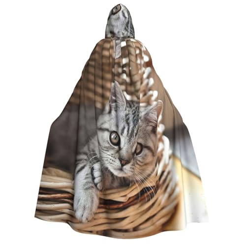 EdWal Kapuzenumhang mit Katzenmotiv, Deluxe-Umhang für Erwachsene, langlebig, Cosplay, Halloween, Party, Hexenkostüm EdWal Kapuzenumhang mit Katzenmotiv, Deluxe-Umhang für Erwachsene, langlebig, Cosplay, Halloween, Party, Hexenkostüm von EdWal