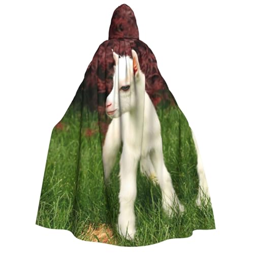 EdWal Kapuzenumhang mit Ziegenaufdruck, Deluxe-Umhang für Erwachsene, langlebig, Cosplay, Halloween, Party, Hexenkostüm EdWal Kapuzenumhang mit Ziegenaufdruck, Deluxe-Umhang für Erwachsene, langlebig, Cosplay, Halloween, Party, Hexenkostüm von EdWal