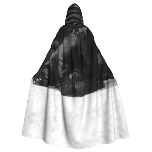 EdWal Kapuzenumhang mit französischer Bulldogge, Unisex, Erwachsene, Kapuzenmantel, Uniform, Kapuzenmantel, für Halloween, Cosplay-Kostüme von EdWal