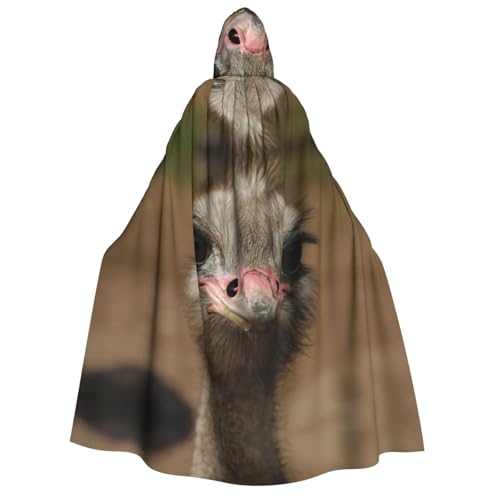 EdWal Kapuzenumhang mit süßem Straußen-Druck, Deluxe-Umhang für Erwachsene, langlebig, Cosplay, Halloween, Party, Hexenkostüm EdWal Kapuzenumhang mit süßem Straußen-Druck, Deluxe-Umhang für Erwachsene, langlebig, Cosplay, Halloween, Party, Hexenkostüm von EdWal