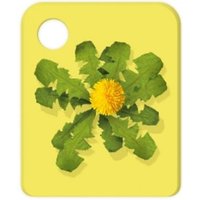 Der Schatz der alten Römer & Peter kauft Eisenbahn von Edel motion