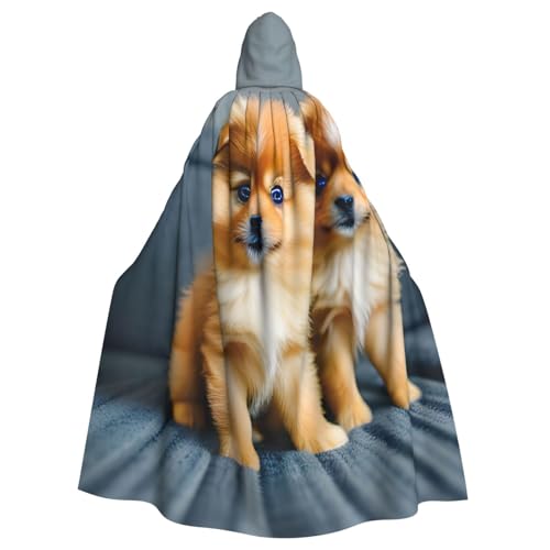 EdsfFehs Halloween-Umhang mit Zwergspitz-Aufdruck und Punkt-Druck, Halloween-Kostüm, Cosplay-Kostüm für Party, Karneval, Themenveranstaltungen EdsfFehs Halloween-Umhang mit Zwergspitz-Aufdruck und Punkt-Druck, Halloween-Kostüm, Cosplay-Kostüm für Party, Karneval, Themenveranstaltungen von EdsfFehs