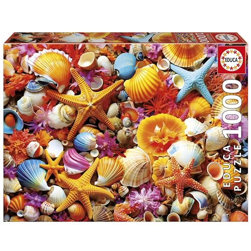Educa - 1000-teiliges Puzzle für Erwachsene | Muschelcollage. Inklusive Fix Puzzle-Kleber. Maße: 68 x 48 cm. Ab 14 Jahren (20246) von Educa
