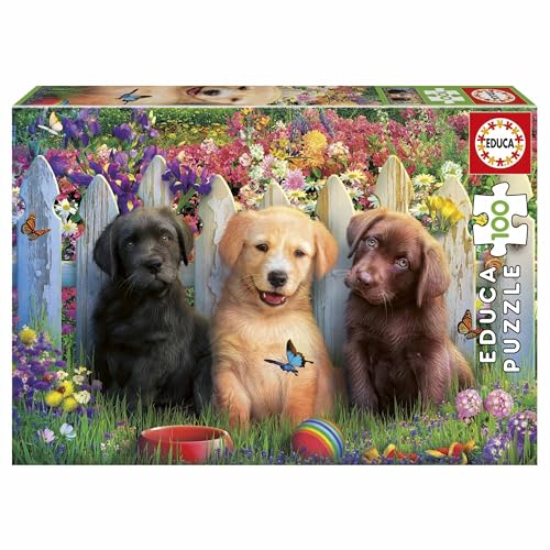 Educa - Puzzle für Kinder von 100 Stücken mit sehr entzückenden Welpen. Maßnahme: 40 x 28 cm. Empfohlen für Kinder ab 6 Jahre (19994) von Educa
