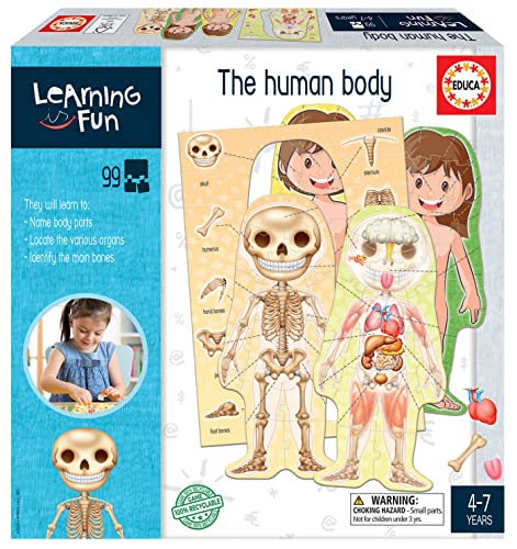 Educa 18842 Learning is Fun, Der menschliche Körper, Lernspiel für Kinder ab 4 Jahren von Educa