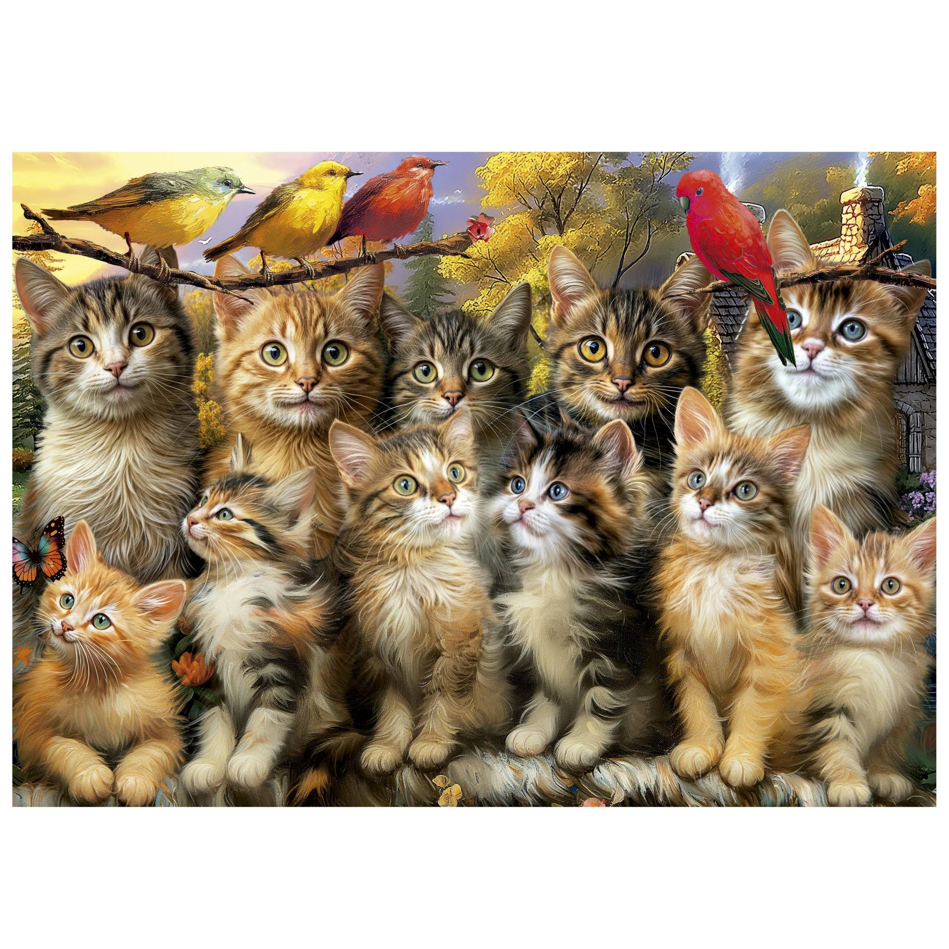 Educa Kittens and Birds 500 Teile Puzzle Educa-20241 von Educa