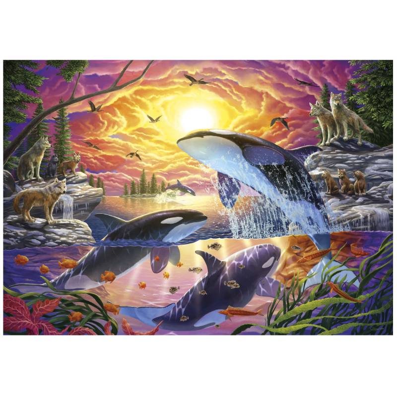 Educa Orcas and Wolves 4000 Teile Puzzle Educa-20259 von Educa