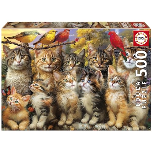 Educa - Puzzle 500 Teile für Erwachsene | Kätzchen und Vögel, Größe 48 x 34 cm, ab 11 Jahren (20241) von Educa