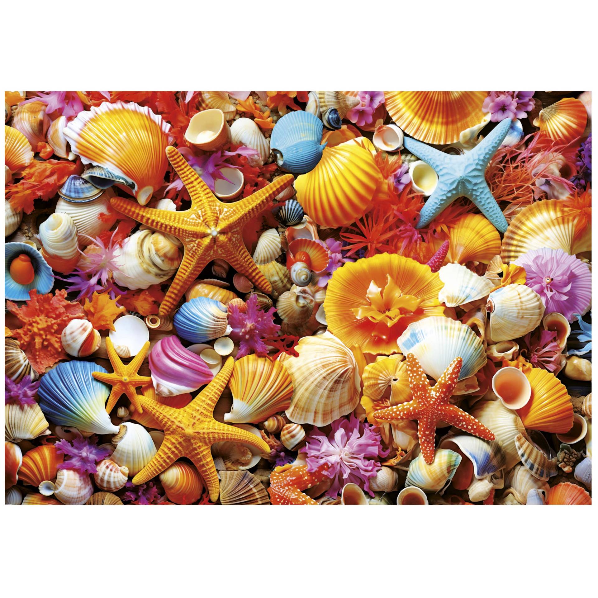 Educa Shell Collage 1000 Teile Puzzle Educa-20246 Educa Shell Collage 1000 Teile Puzzle Educa-20246 von Educa