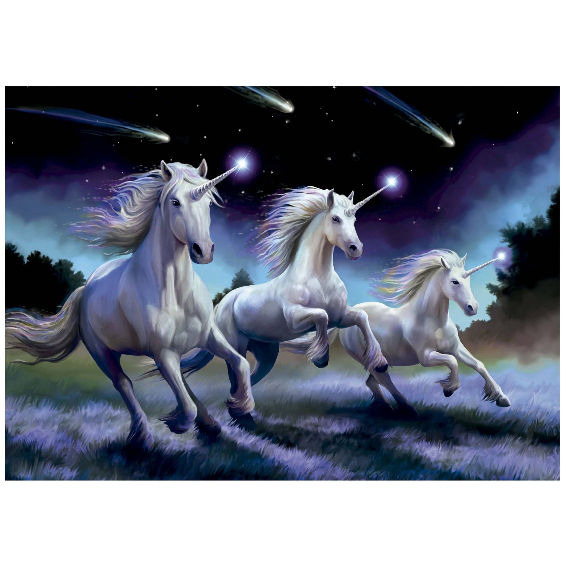 Educa Shooting Stars. Anne Stokes 1000 Teile Puzzle Educa-19919 Educa Shooting Stars. Anne Stokes 1000 Teile Puzzle Educa-19919 von Educa