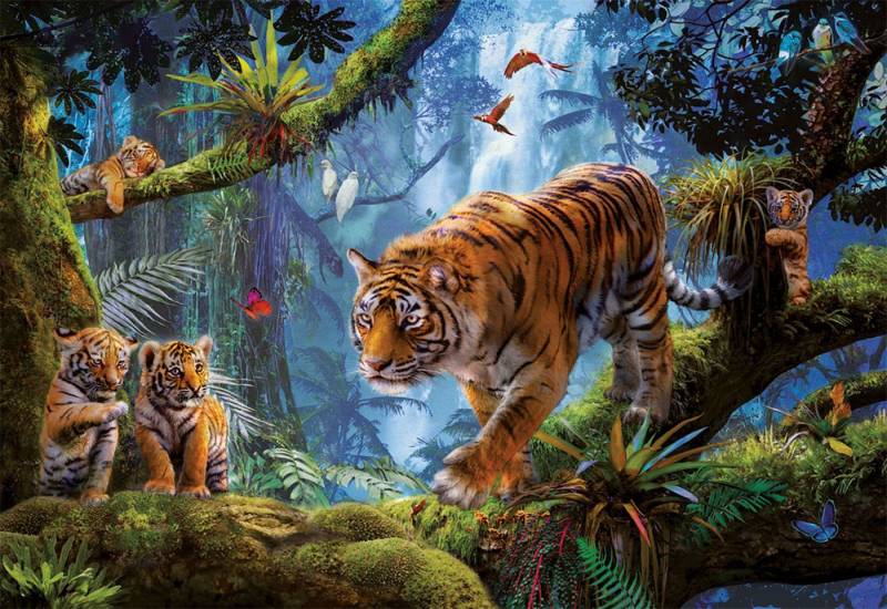 Educa Tiger Auf Dem Baum 1000 Teile Puzzle Educa-17662 Educa Tiger Auf Dem Baum 1000 Teile Puzzle Educa-17662 von Educa