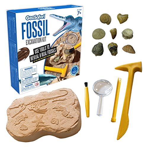 Learning Resources GeoSafari Fossilien-Ausgrabungsset von Educational Insights