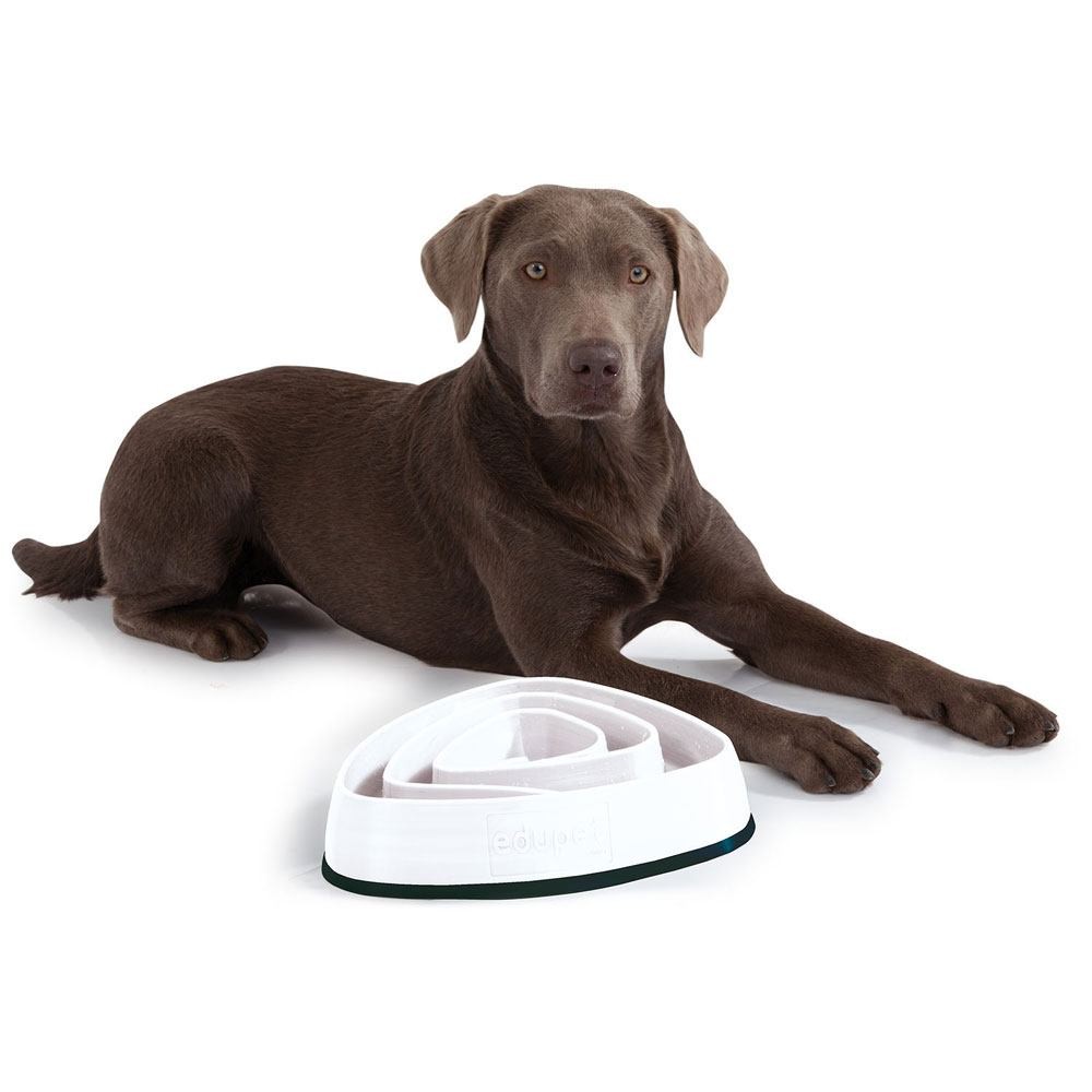 Edupet Hundespielzeug - Dog Bowl, 21 cm weiss Edupet Hundespielzeug - Dog Bowl, 21 cm weiss von Edupet