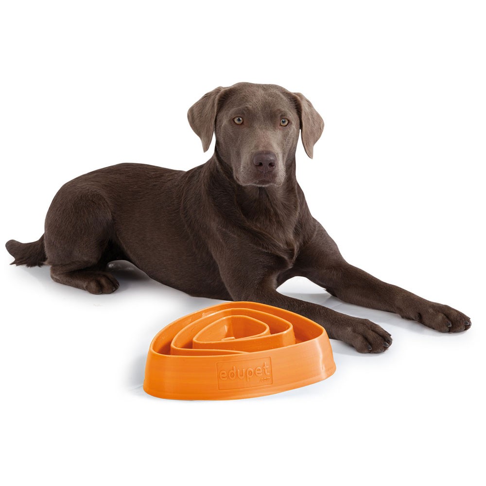 Edupet Hundespielzeug -Dog Bowl, 28,5 cm orange von Edupet