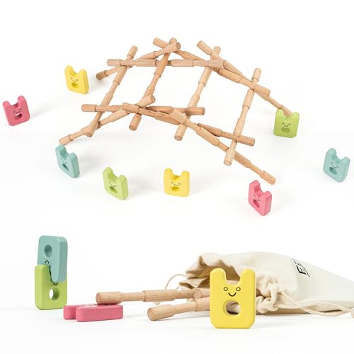 Edyfico TMF101, Lernspielzeug für Kinder, Physik Experimente für Kinder Mint-Spielzeug, 12 Stick Balance Experiment Holzspielzeug, Gegenseitige Unterstützungsstruktur, Inklusive Aufbewahrungstasche von Edyfico