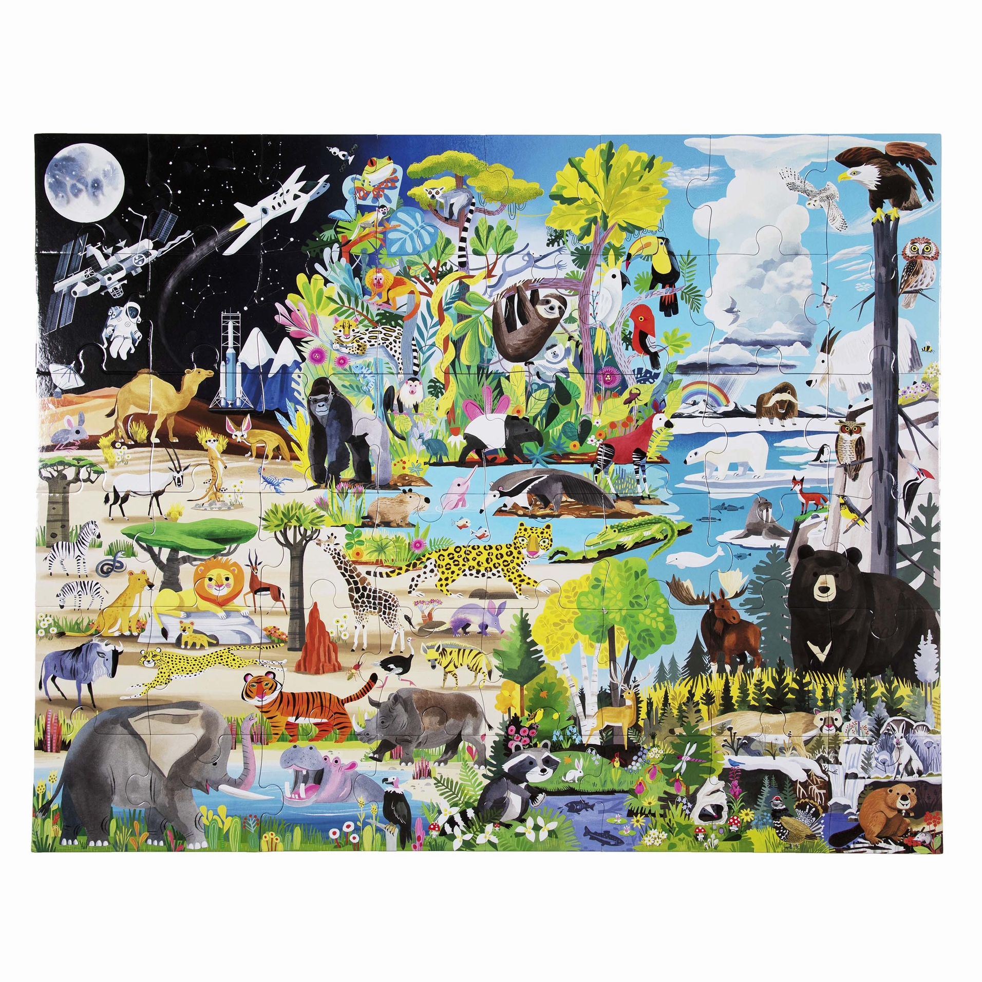 eeBoo In der Natur 48 Teile Puzzle eeBoo-51211 eeBoo In der Natur 48 Teile Puzzle eeBoo-51211 von Eeboo